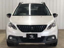 
										Peugeot 2008 (GT Line Black Pack Late Model Black Leather Glass Roof SD Navigation Full Seg Pearl White) full									