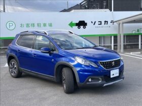 Peugeot 2008 (Cross City ETC/Corner Sensor/Dash Cam Blue)