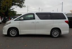 
										Toyota Alphard 4WD full									