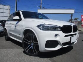 BMW X5 xDrive35dMSports