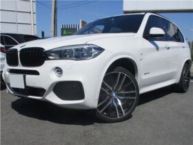 BMW X5 xDrive35dMSports