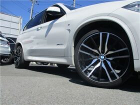 BMW X5 xDrive35dMSports