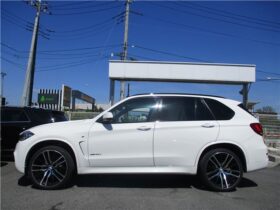 BMW X5 xDrive35dMSports