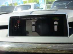 
										BMW X5 xDrive35dMSports full									