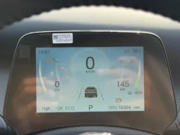 BYD 2026 Fully Electric Car