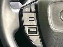 
										Toyota Prius Hybrid G full									